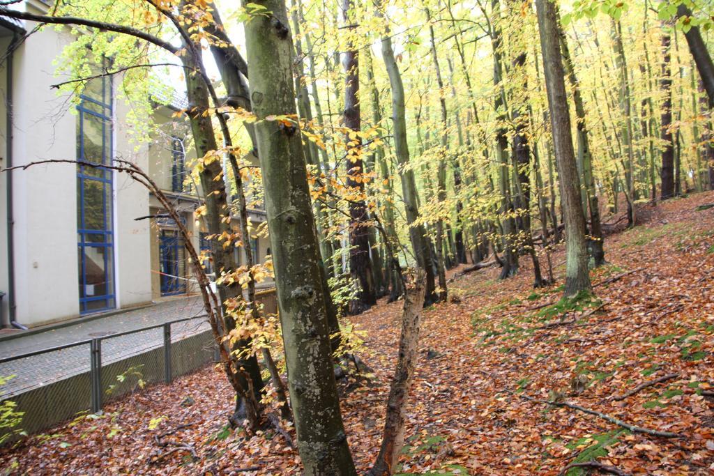 Hotel Lesny Сопот Екстер'єр фото